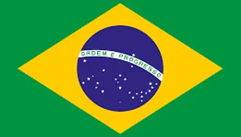 BRAZIL Flag